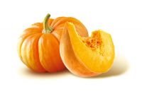 Zucca Gialla