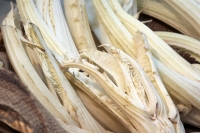 Cardo Gobbo di Nizza Monferrato